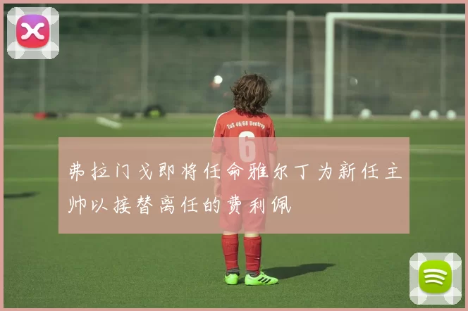 弗拉门戈即将任命雅尔丁为新任主帅以接替离任的费利佩